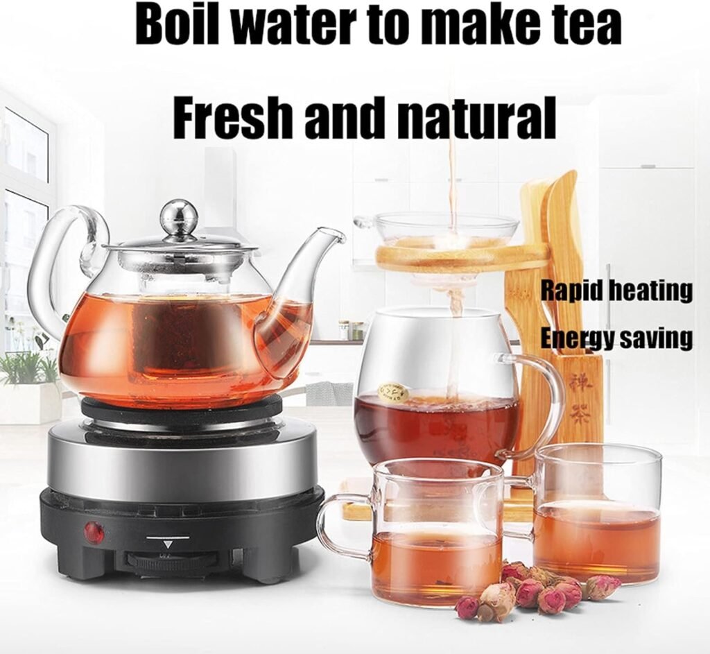 Mini Plaque Chauffante Électrique 500W