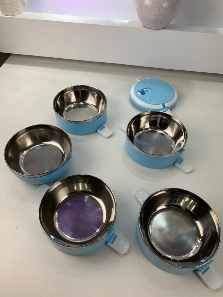 Boîte à Lunch Isotherme à 5 Couches