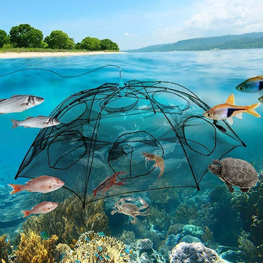 Piège à Filet de Pêche Pliable à 10 Entrées – Pour Crabes, Écrevisses et Poissons - Image 9