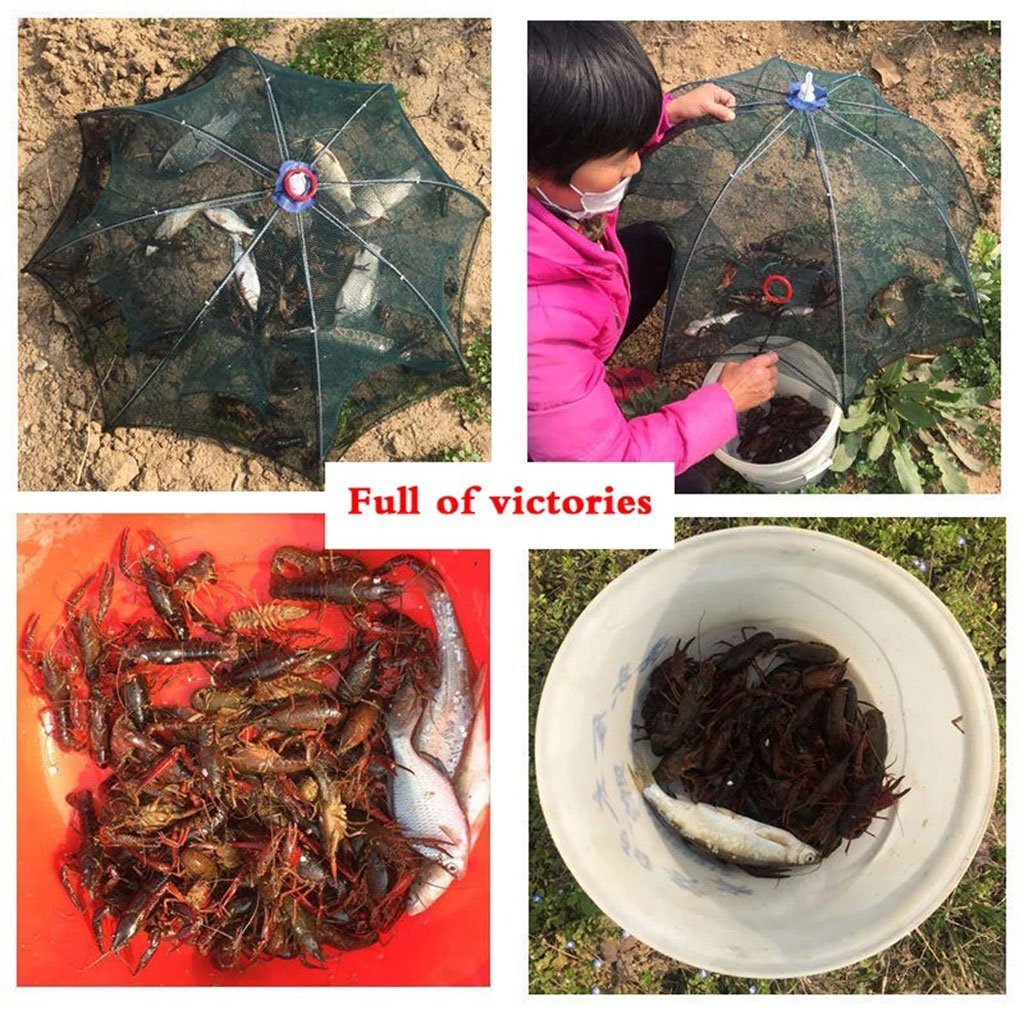 Piège à Filet de Pêche Pliable à 10 Entrées – Pour Crabes, Écrevisses et Poissons - Image 8