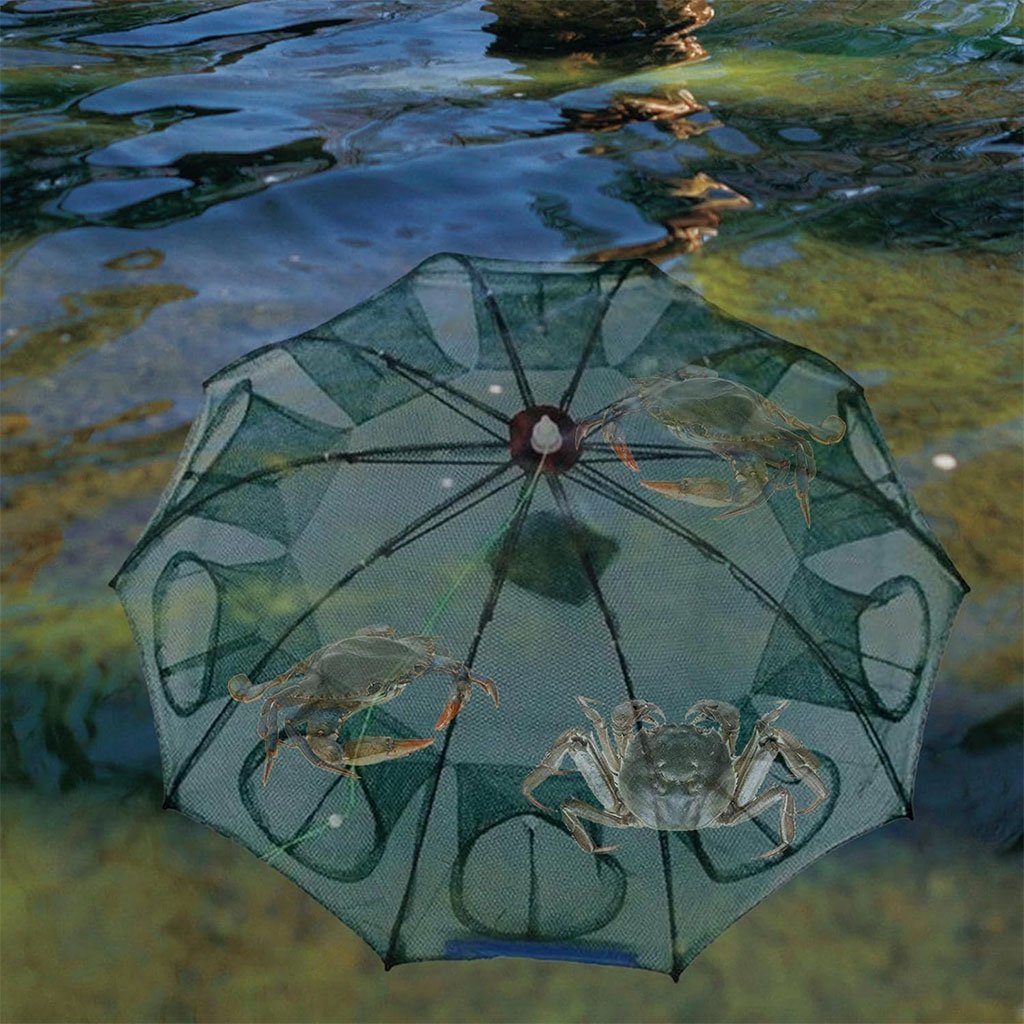 Piège à Filet de Pêche Pliable à 10 Entrées – Pour Crabes, Écrevisses et Poissons - Image 10